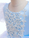 Cinderella Puff Sleeve Party Dress - Bebehanna