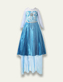Princess Elsa Floral Party Dress - Bebehanna