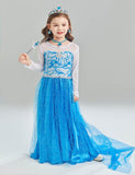 Princess Elsa Floral Party Dress - Bebehanna