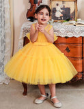 Princess Tulle Party Dress - Bebehanna