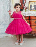 Princess Tulle Party Dress - Bebehanna