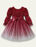 Velvet Gradient Tulle Princess Dress