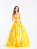 Adult Size Light up Princess Dress Pageant Gown - Bebehanna