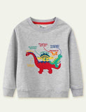 Pullover mit Dinosaurier-Stickerei
