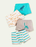 Dinosaur Print Boxer Shorts - Bebehanna