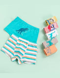 Dinosaur Print Boxer Shorts - Bebehanna