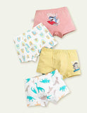 Dinosaur Print Boxer Shorts - Bebehanna