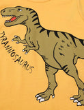 Dinosaur Print Long Sleeve T-shirt - Bebehanna