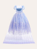 Frozen Mesh Party Dress - Bebehanna