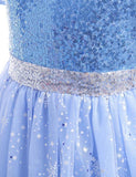 Frozen Mesh Party Dress - Bebehanna