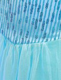 Frozen Mesh Party Dress - Bebehanna