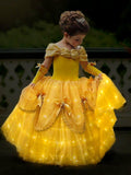 Light up Princess Costume Dress