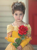 Light up Princess Costume Dress - Bebehanna