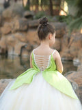 Princess Tiana Light Up Fairy Mesh Dress For Girls - Uporpor - Bebehanna