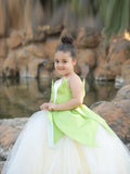 Princess Tiana Light Up Fairy Mesh Dress For Girls - Uporpor - Bebehanna